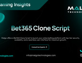 Quickly Launch Your Own Successful Sports Betting Website Thumbnail